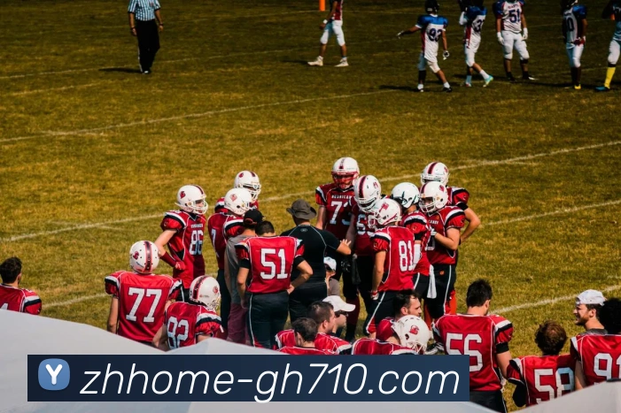 公海710官网发展历程